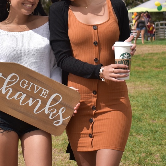 Rust Bodycon Dress - Picture 5 of 5